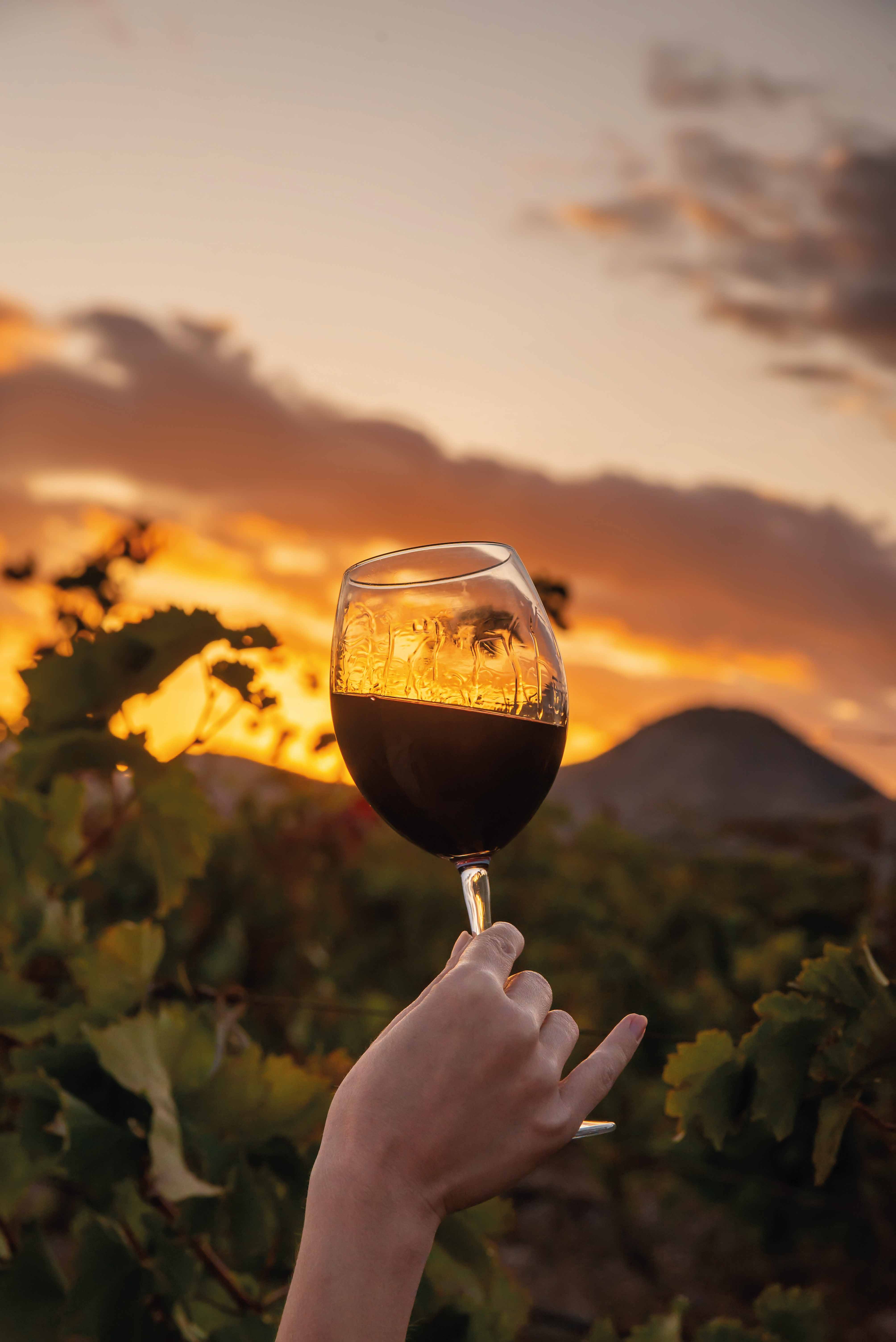 Taça de vinho ao pôr do sol em vinhedo